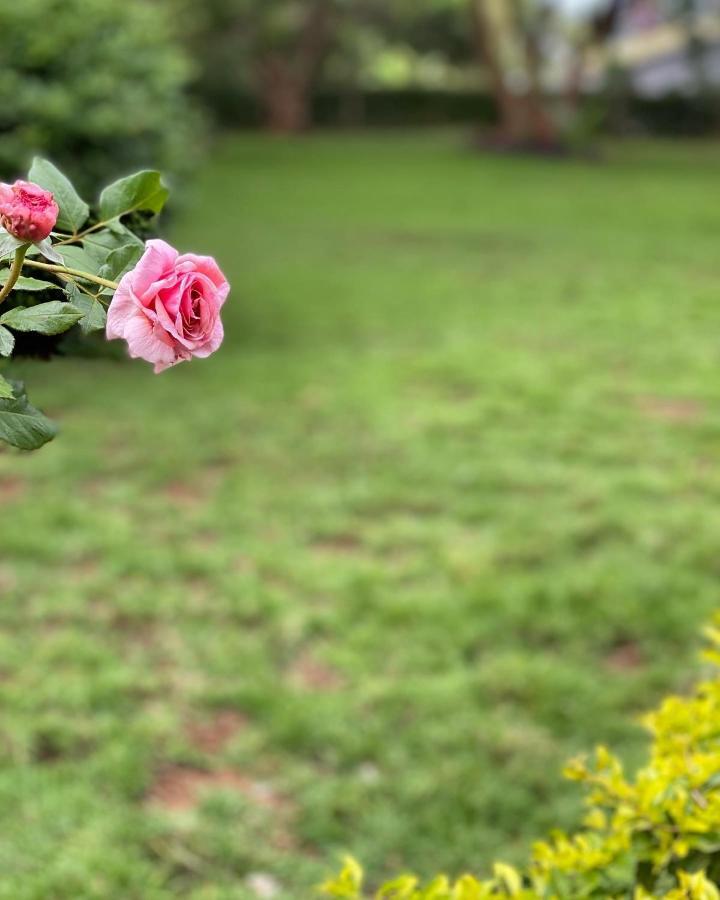 Mkoani Homestay Moshi Kültér fotó